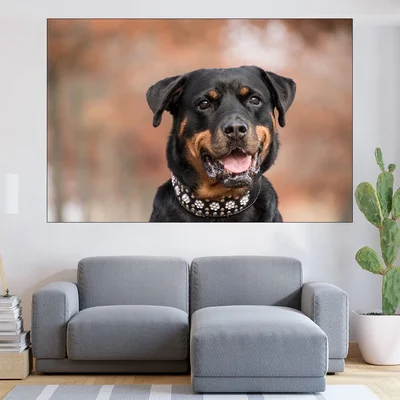 Портрет на черен ротвайлер - картина пано за стена