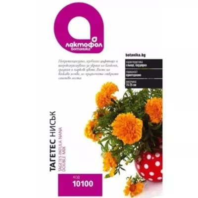 Семена Тагетес нисък