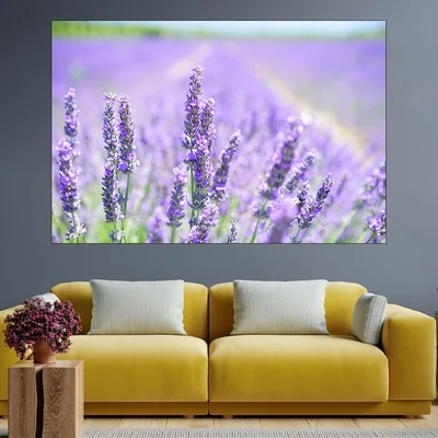 Цъфнала лавандула - картина пано за стена