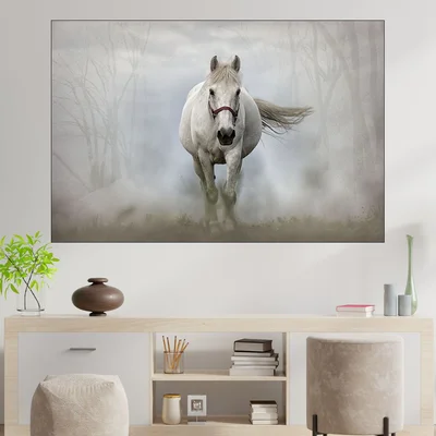 Бял кон в мъглата - картина пано за стена