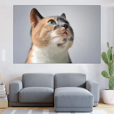 Пъстро домашно коте - картина пано за стена