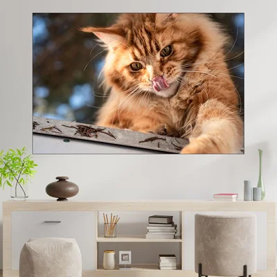 Коте и джинджифил - картина пано за стена