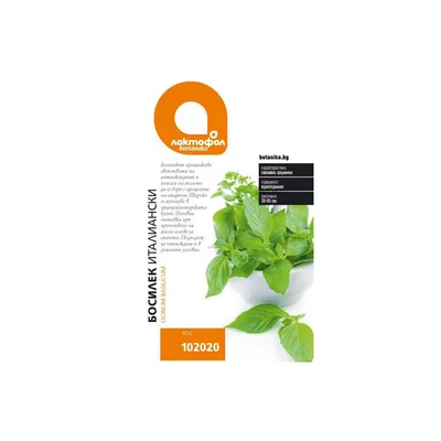 Семена босилек