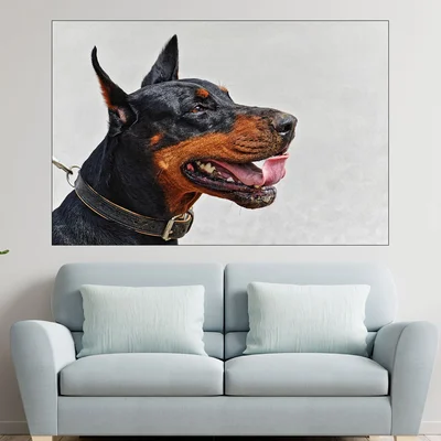 Близък кадър на доберман - картина пано за стена