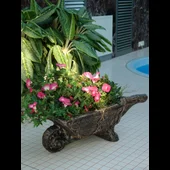 Саксия Количка градинска - Thumbnail 2