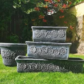 Саксия Планика голяма L - Thumbnail 3