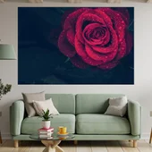 Червена роза с дъждовни капки - картина пано за стена - Thumbnail 1