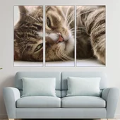 Легнала домашна котка - картина пано за стена - Thumbnail 2