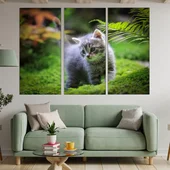Малко коте в гората - картина пано за стена - Thumbnail 2