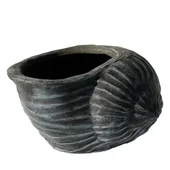 Саксия Черупка - Thumbnail 1