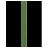 Силно еластична фугираща смес мента 2 кг TERAFLEX - Thumbnail 2