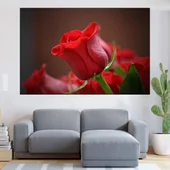 Червена роза в близък план - картина пано за стена - Thumbnail 1