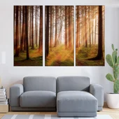 Изгрев в борова гора - картина пано за стена - Thumbnail 2