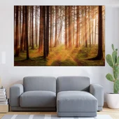 Изгрев в борова гора - картина пано за стена - Thumbnail 1