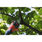 Кастрачка и храсторез 40 см 2 Ah 3 м RDP-PSHT20 RAIDER - Thumbnail 4