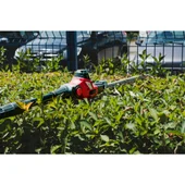 Кастрачка и храсторез 40 см 2 Ah 3 м RDP-PSHT20 RAIDER - Thumbnail 5