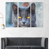 Черна котка с жълти очи - картина пано за стена - Thumbnail 2