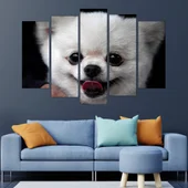 Портрет на малък Померан - картина пано за стена - Thumbnail 3