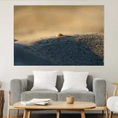 Мидена черупка на пясъка - картина пано за стена - Thumbnail 1