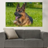 Немска овчарка на ливадата - картина пано за стена - Thumbnail 1