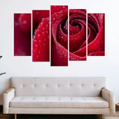 Роса по червена роза - картина пано за стена - Thumbnail 3