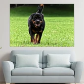 Ротвайлер на поляната - картина пано за стена - Thumbnail 1