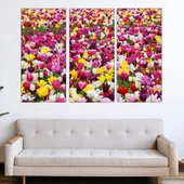 Поле с лалета в Холандия - картина пано за стена - Thumbnail 2