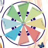 Цветен латекс екстра покривен роза 5 кг MARSEL - Thumbnail 3