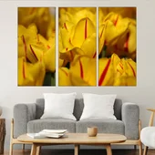 Жълти лалета в близък план - картина пано за стена - Thumbnail 2