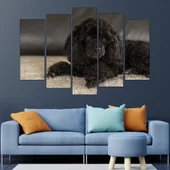 Портрет на черен пудел - картина пано за стена - Thumbnail 3