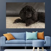 Портрет на черен пудел - картина пано за стена - Thumbnail 1