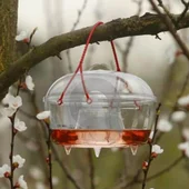 Капан за оси, стършели и насекоми ROTO - Thumbnail 1