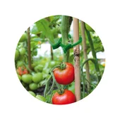 Скоби за растения 45 бр. 3 размера BRADAS - Thumbnail 2