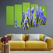 Цъфтяща лавандула  - картина пано за стена - Thumbnail 3