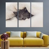 Сиво коте под одеалото  - картина пано за стена - Thumbnail 2