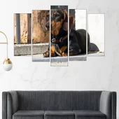 Портрет на Дакел - картина пано за стена - Thumbnail 3