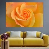 Цъфнала жълта роза в близък план - картина пано за стена - Thumbnail 1