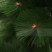 Декоративна коледна зелена елха 60 см - Thumbnail 2