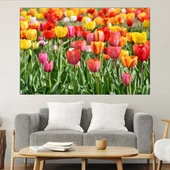 Поле от лалета - картина пано за стена - Thumbnail 1