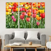 Поле от лалета - картина пано за стена - Thumbnail 2