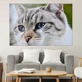 Потрет на котка със съни очи - картина пано за стена - Thumbnail 1