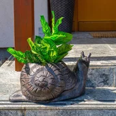 Саксия Охлюв малък S ROTO - Thumbnail 1