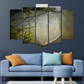 Паяжина в гората - картина пано за стена - Thumbnail 3