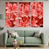 Рододендрон в близък план - картина пано за стена - Thumbnail 2