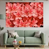 Рододендрон в близък план - картина пано за стена - Thumbnail 1