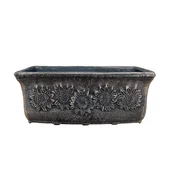 Саксия Планика малка S - Thumbnail 2