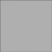 Алкиден грунд Si Belle светло сив - 0.9 л - НИНАХИМ - Thumbnail 2