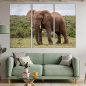 Африкански слон в саваната - картина пано за стена - Thumbnail 2