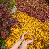 Мулч 50 л жълт МС Дървообработване - Thumbnail 4