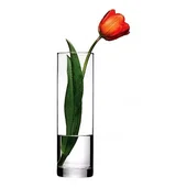 Ваза за цветя тип цилиндър 26 см Botanica PASABAHCE - Thumbnail 2